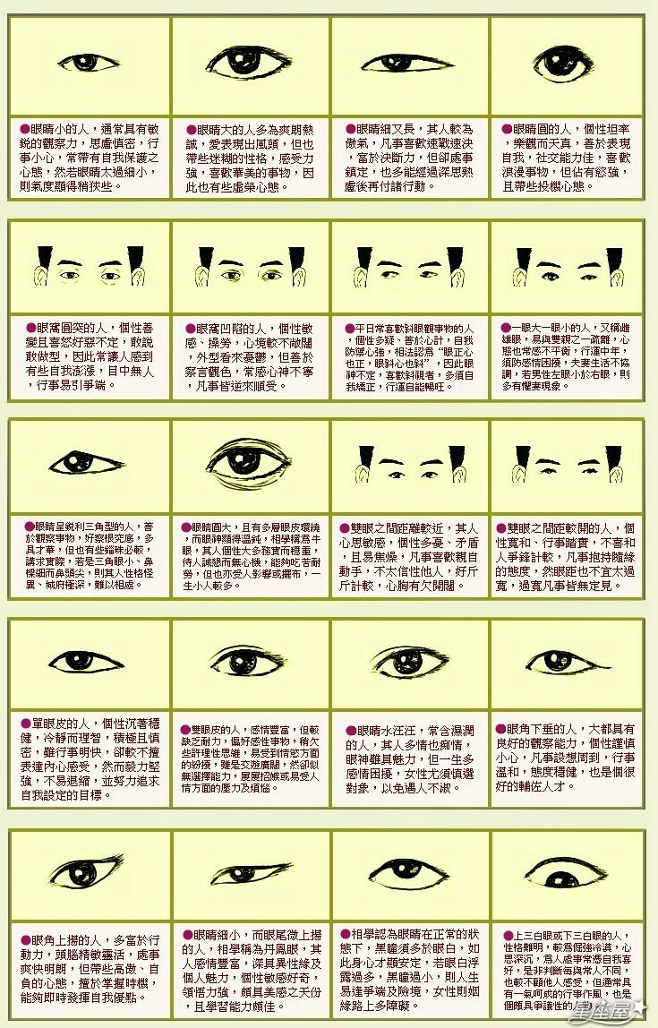 眼睛形状分类 图解图片