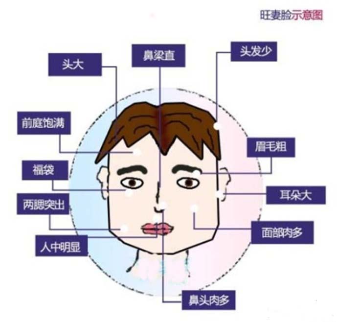 对老婆好的好男人面相图片